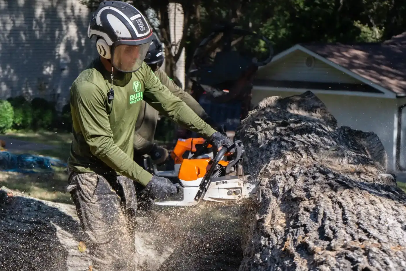Tree cutting with chainsaw