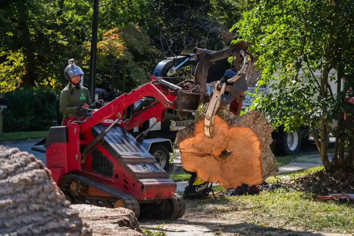 Tree Removal