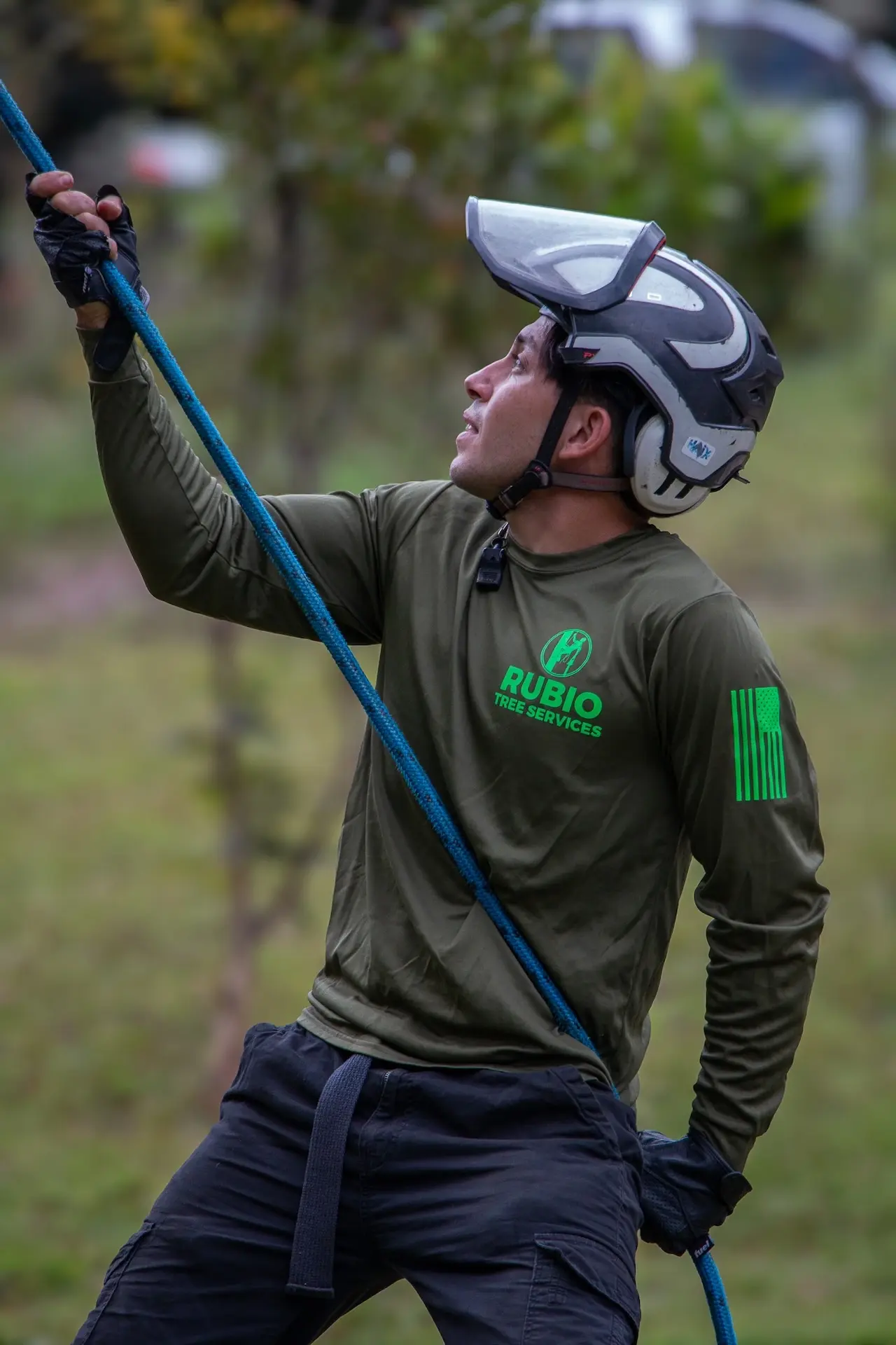 Professional arborist