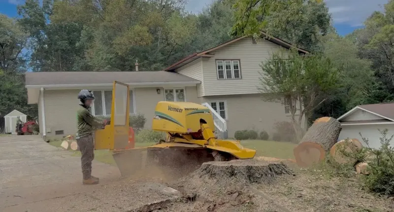 Stump Grinding