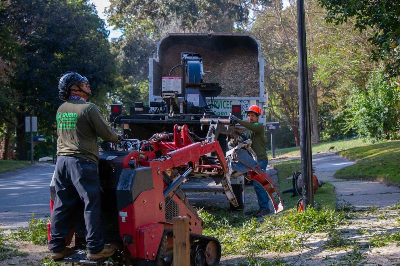 Controlled sectional dismantling tree removal Charlotte NC